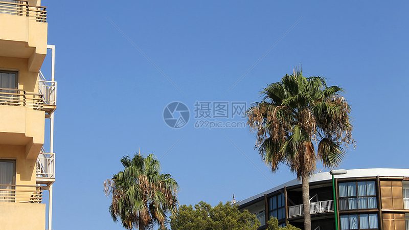 带孩子国内游十天行程推荐：从路线设计到亲子体验的完整拆解